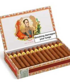 Bolivar Belicosos Finos