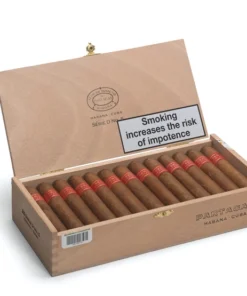Partagas Serie D No.5