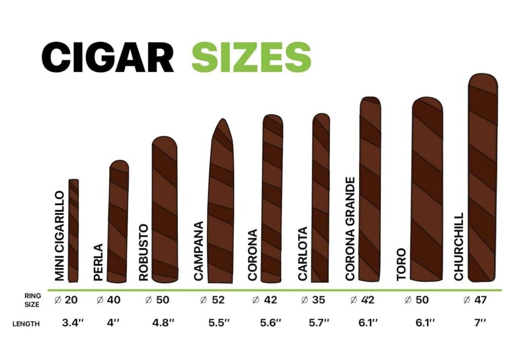 cigar sizes