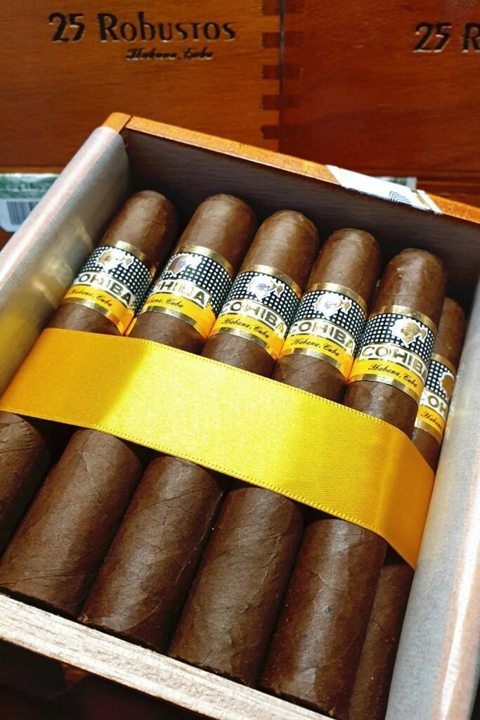 robusto vs toro